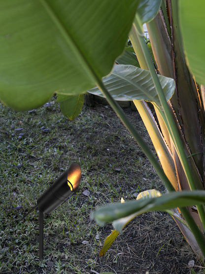 Shadow Pierce Ground Spike Light