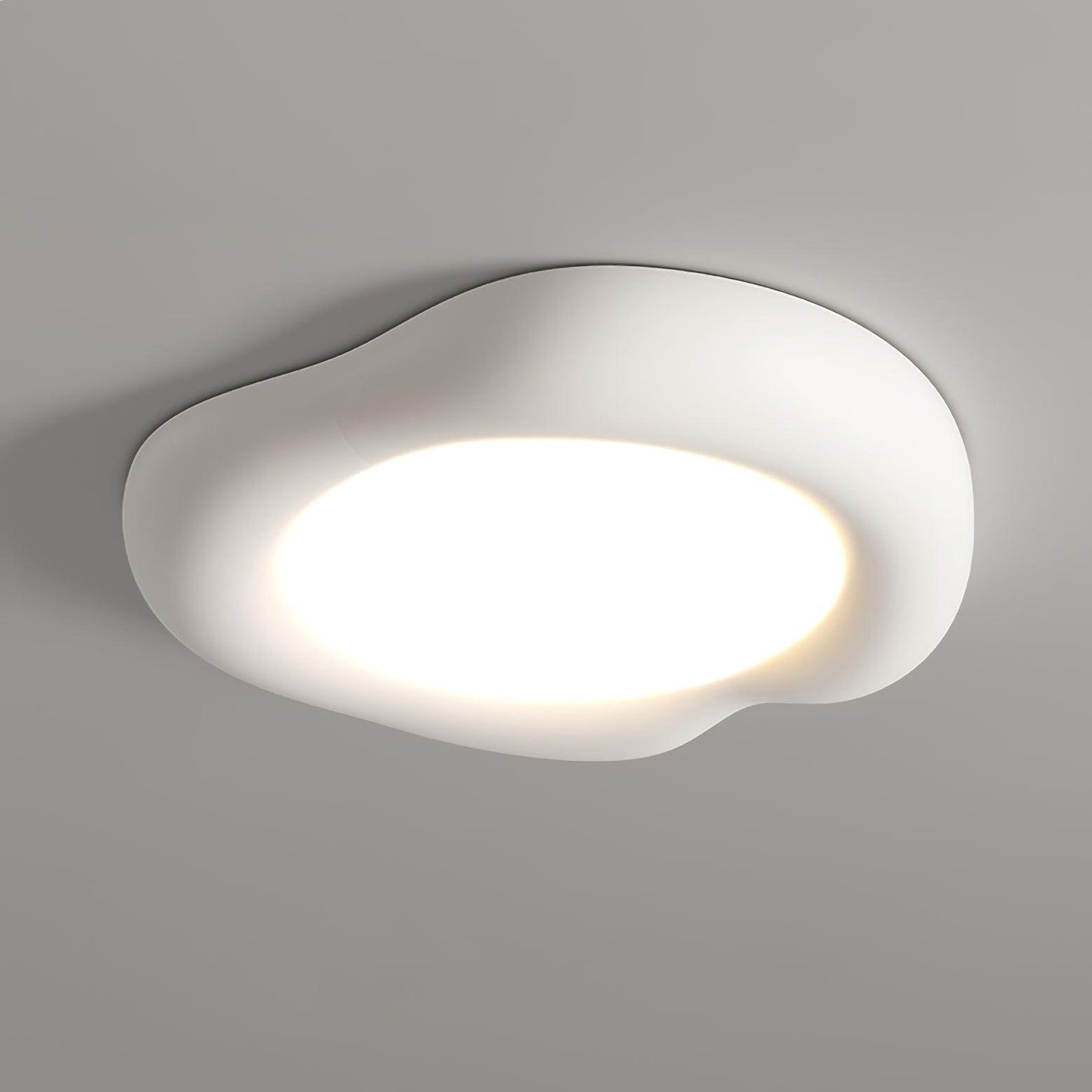 Shaped Apple Ceiling light Ceiling Lamp