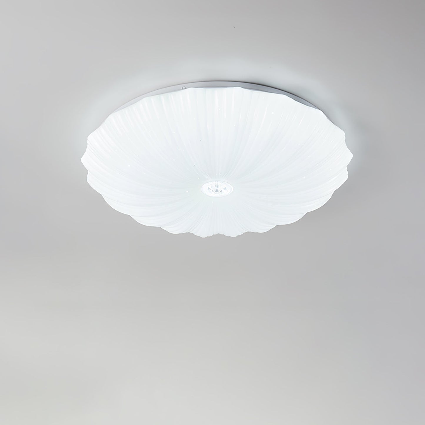 Acrylic Shell Round Ceiling Lamp