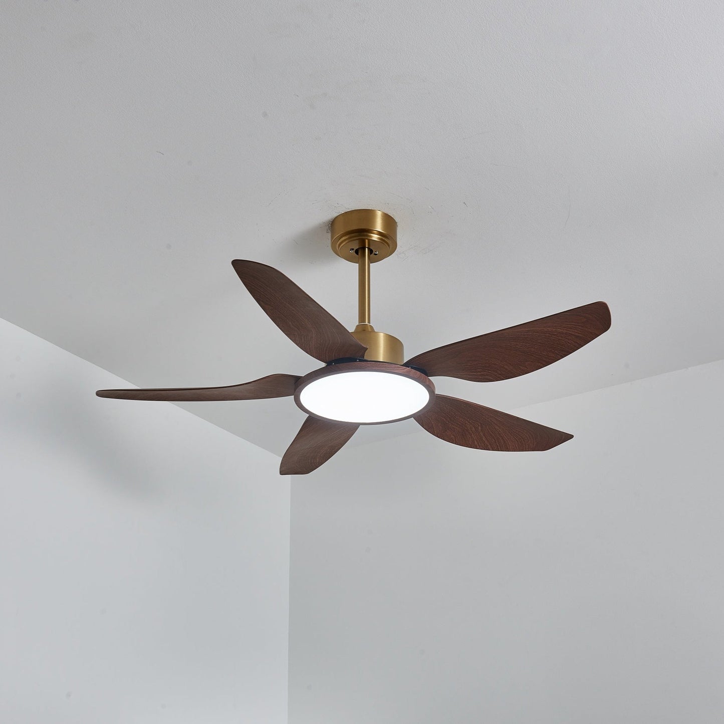 Sirocco Breeze Ceiling Fan Light