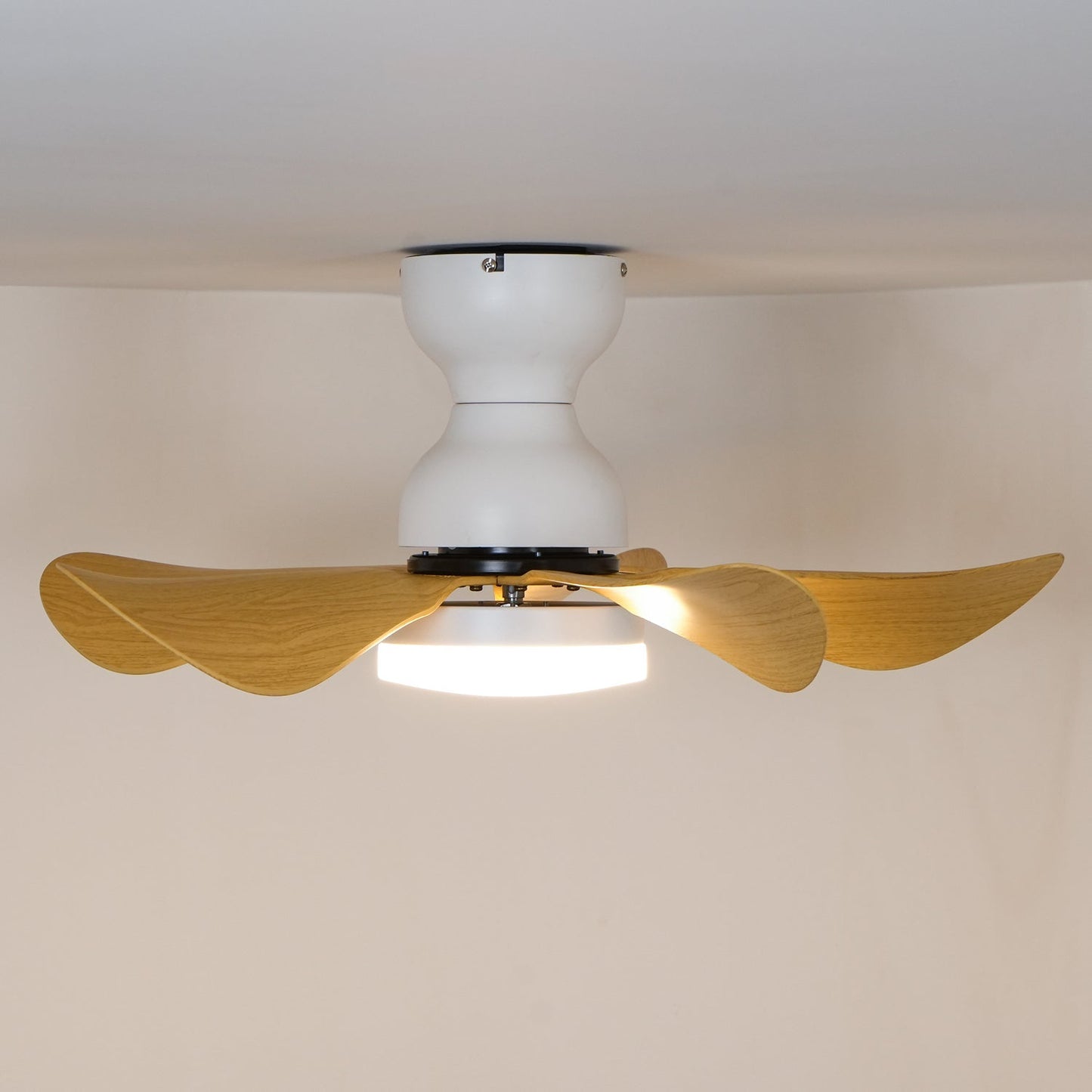 Small Arilia 29" Overhead fixture Ceiling Fan Light