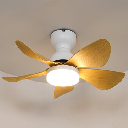 Small Arilia 29" Overhead fixture Ceiling Fan Light