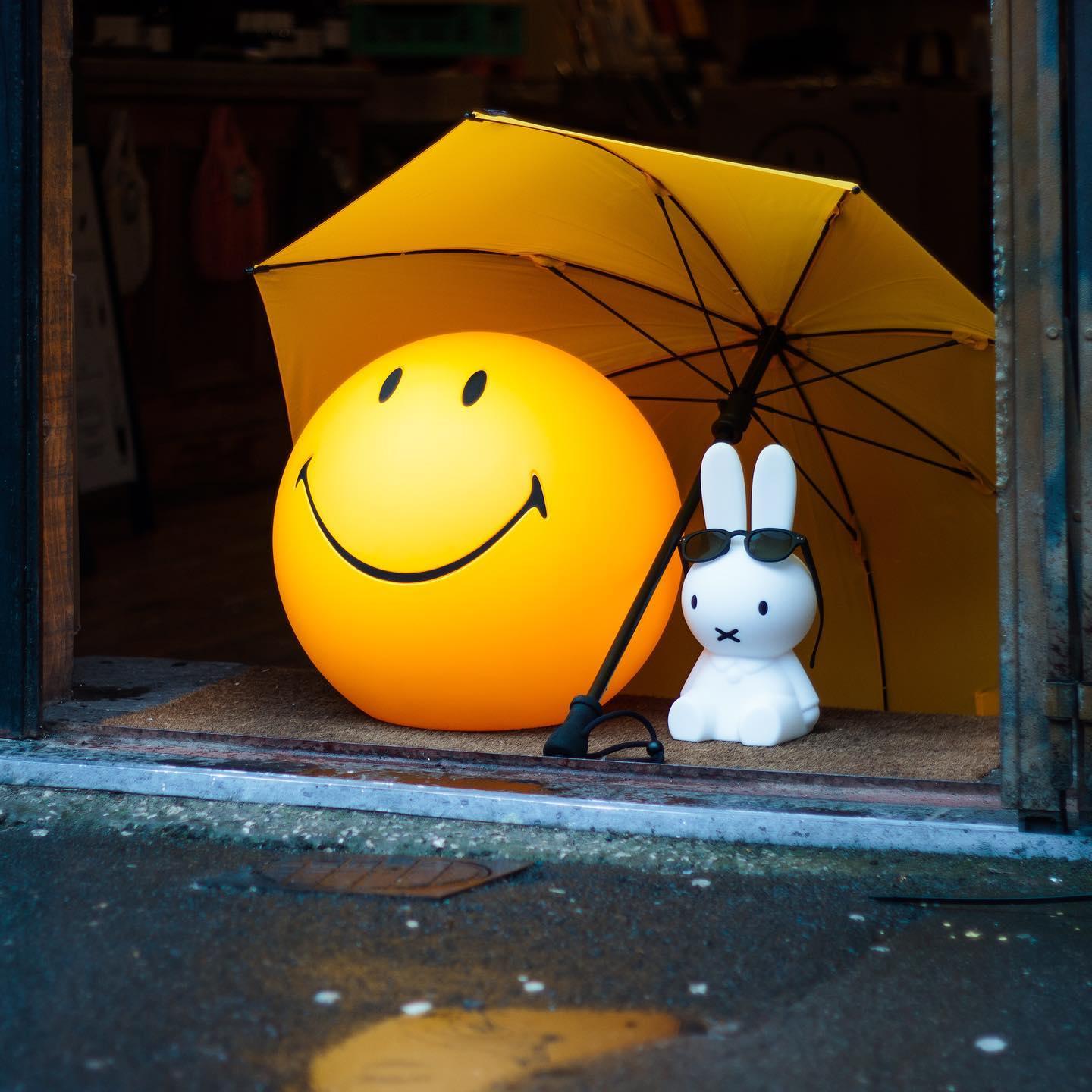 Smiling Rechargeable Built-in Battery Portable lamp Table Lamp