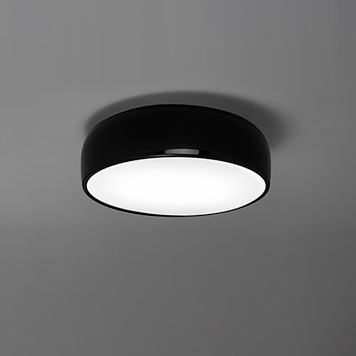 Smithfield Ceiling fixture Ceiling Light