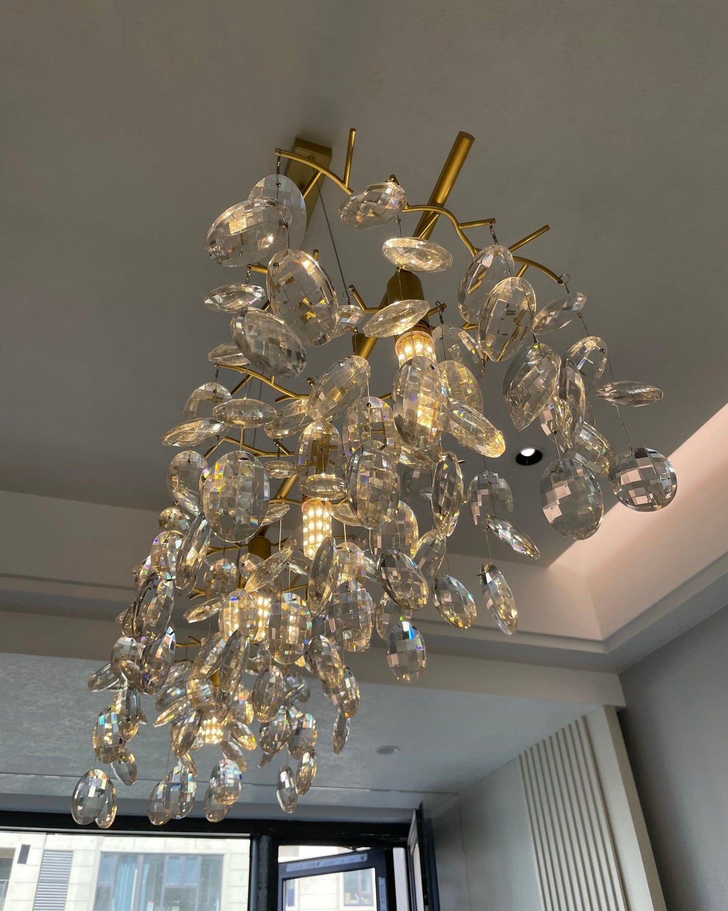 Sofia Pendant light Chandeliers