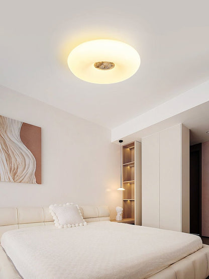 Solis Ring Ceiling Light