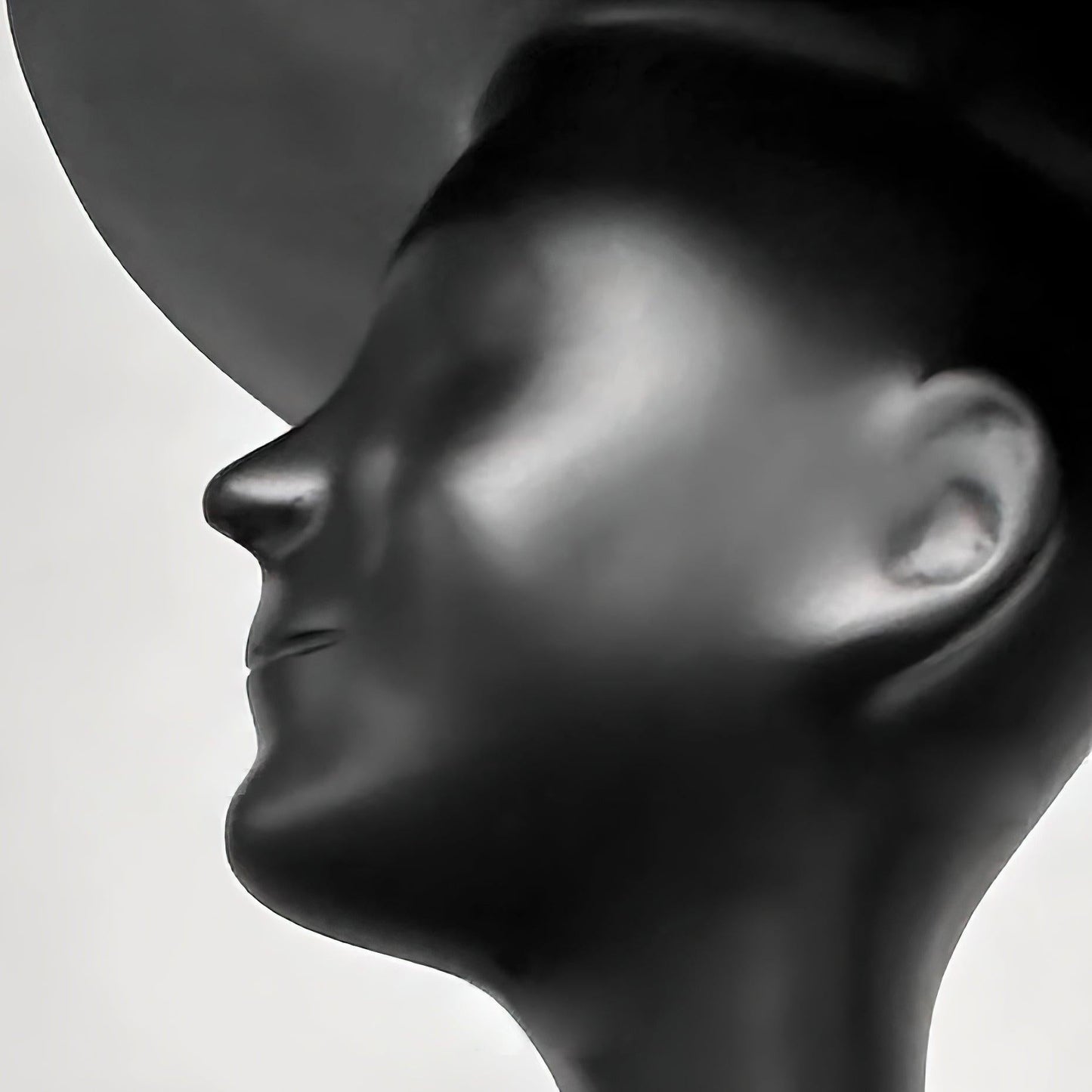 Sophia Elegance Sculpture Floor-mounted Lamp Floor Lamp