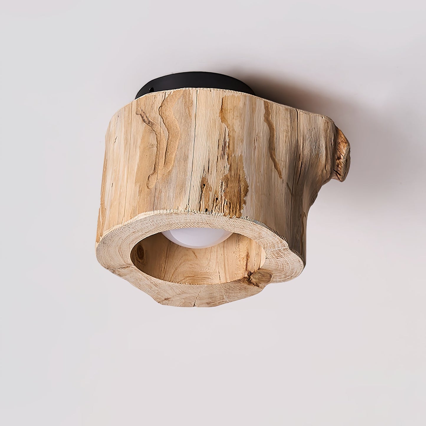 Tarn Hollow Ceiing Lamp