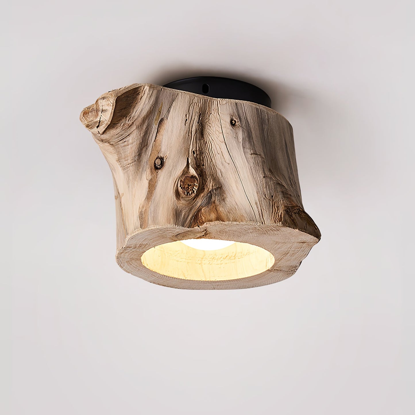 Tarn Hollow Ceiing Lamp