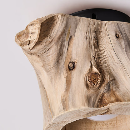 Tarn Hollow Ceiing Lamp