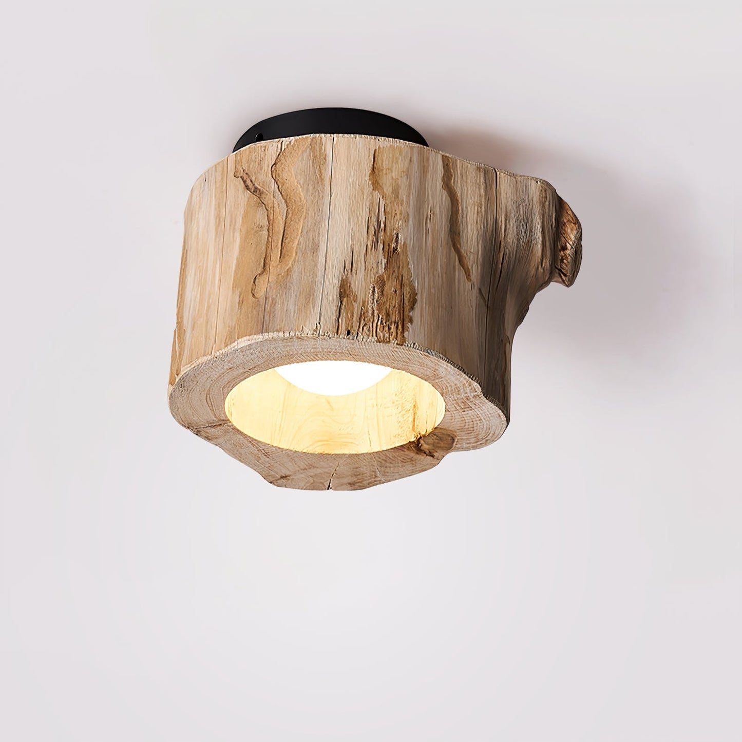 Tarn Hollow Ceiing Lamp