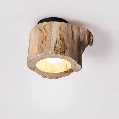 Tarn Hollow Ceiing Lamp