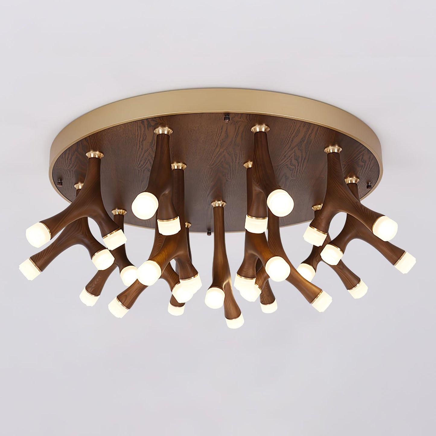 Tentacle Flush mount light Ceiling Lamp