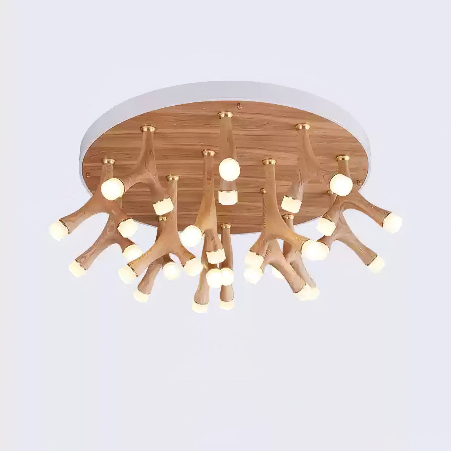 Tentacle Flush mount light Ceiling Lamp