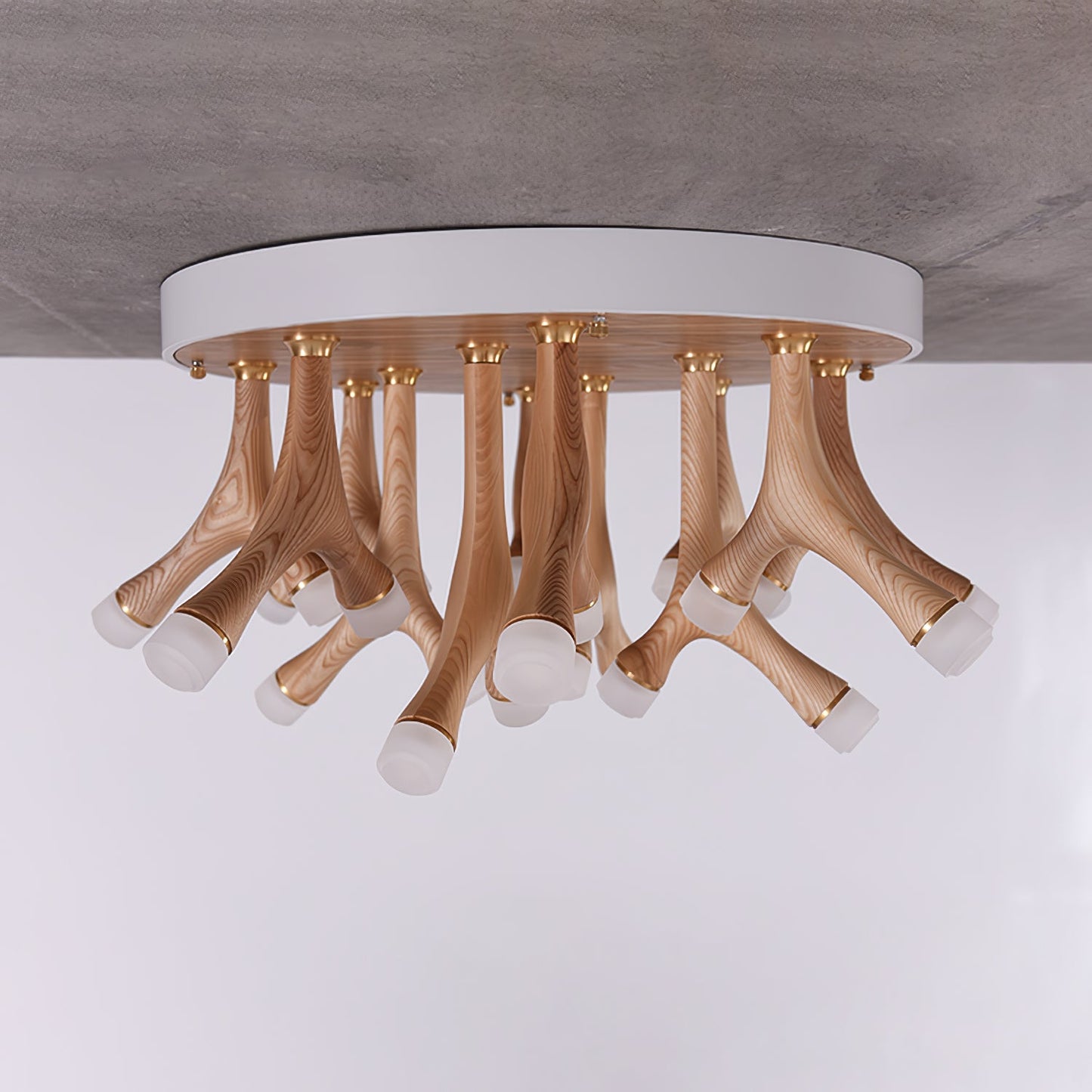 Tentacle Flush mount light Ceiling Lamp