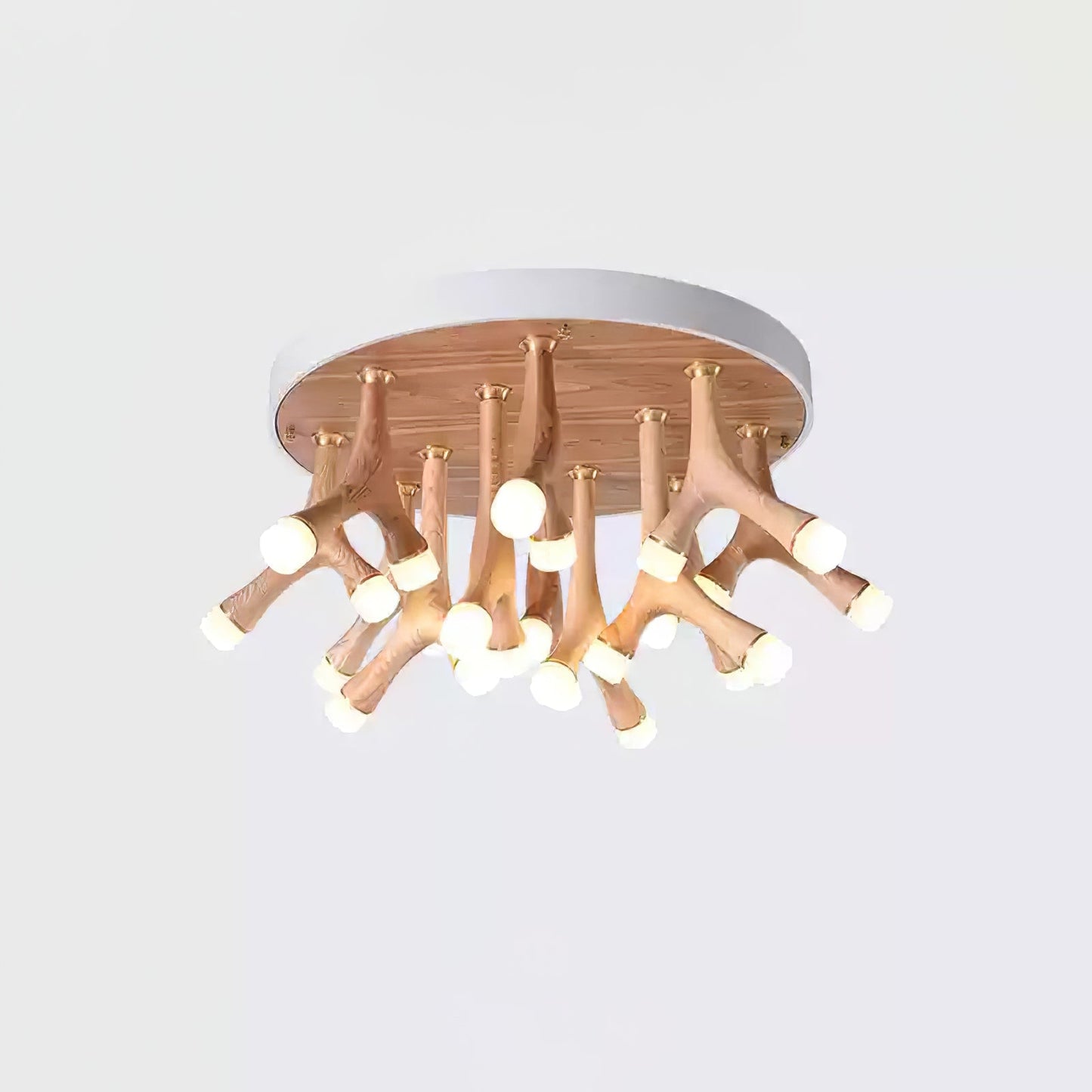 Tentacle Flush mount light Ceiling Lamp