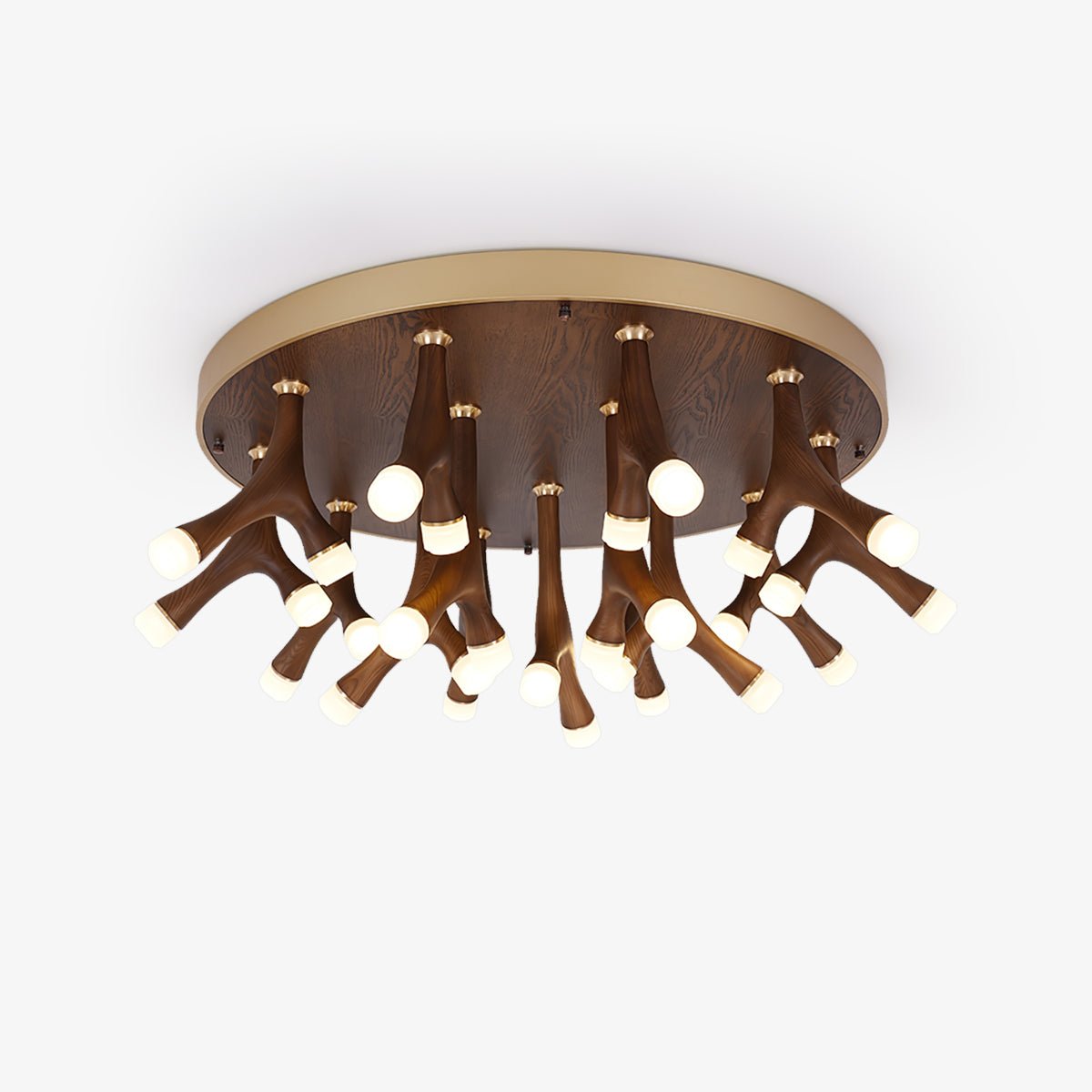 Tentacle Flush mount light Ceiling Lamp