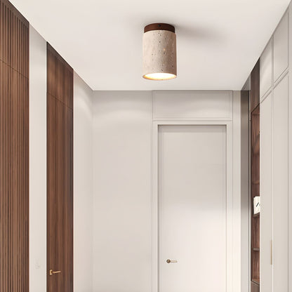 Terra Cylinder Ceiling-mounted light Ceiling Light