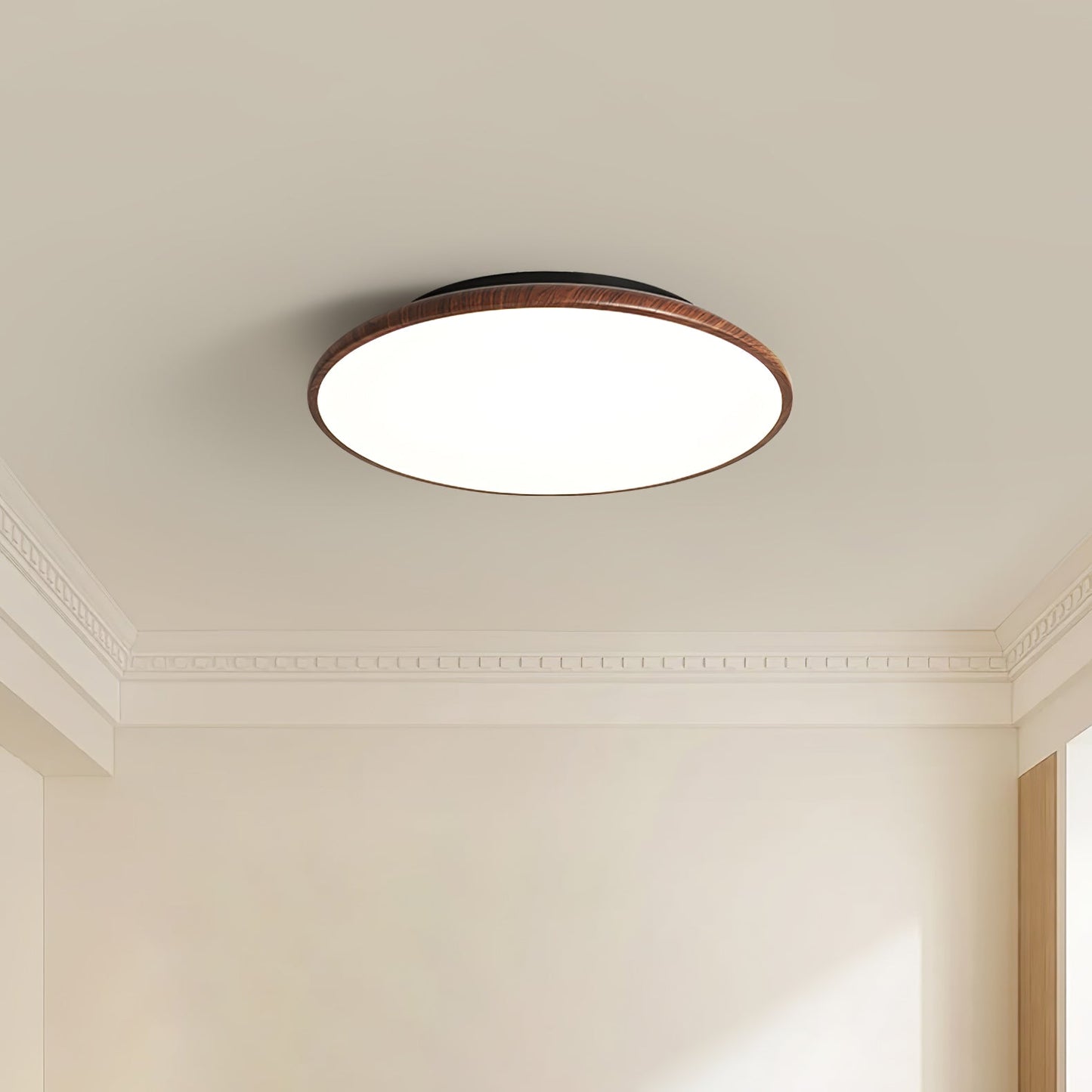 Thin Geometry Shape Ceiling fixture Ceiling Lamp