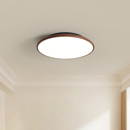 Thin Geometry Shape Ceiling fixture Ceiling Lamp