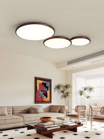 Thin Geometry Shape Ceiling fixture Ceiling Lamp