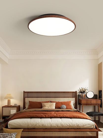 Thin Geometry Shape Ceiling fixture Ceiling Lamp