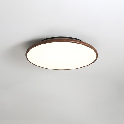 Thin Geometry Shape Ceiling fixture Ceiling Lamp