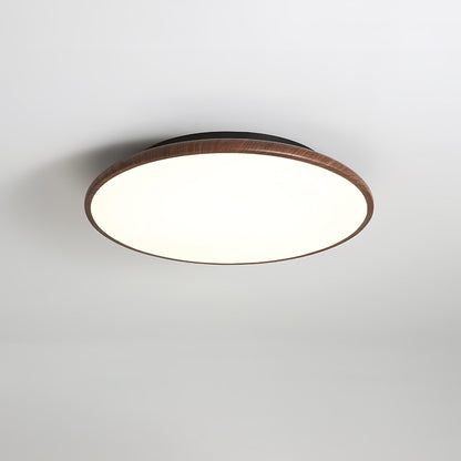 Thin Geometry Shape Ceiling fixture Ceiling Lamp