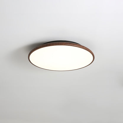 Thin Geometry Shape Ceiling fixture Ceiling Lamp