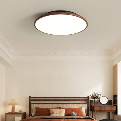 Thin Geometry Shape Ceiling fixture Ceiling Lamp