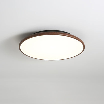 Thin Geometry Shape Ceiling fixture Ceiling Lamp