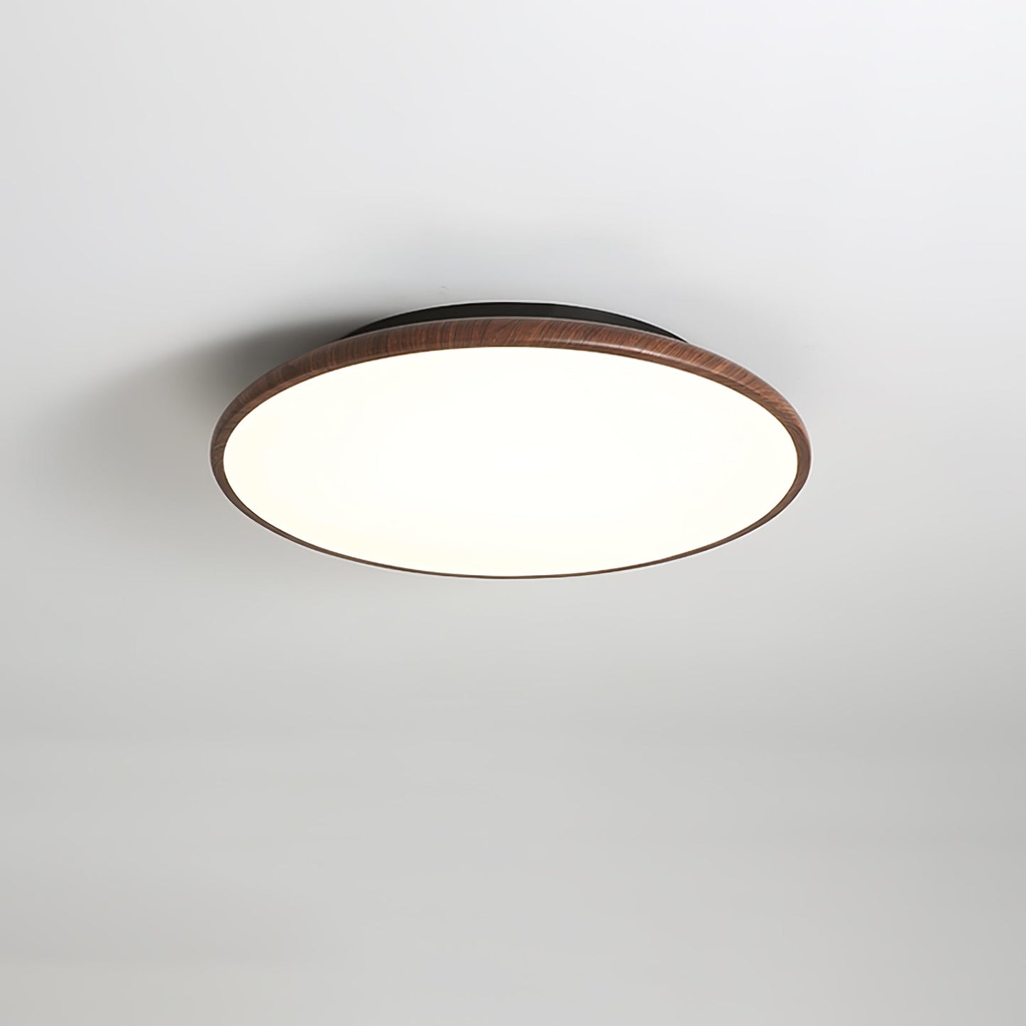 Thin Geometry Shape Ceiling fixture Ceiling Lamp