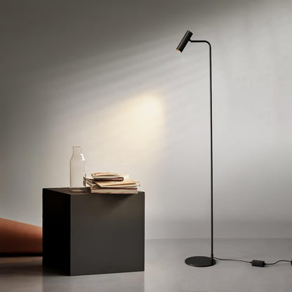 Torris Tall Lamp Floor Lamp