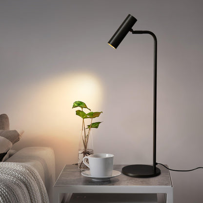 Torris Side table lamp Table Lamp