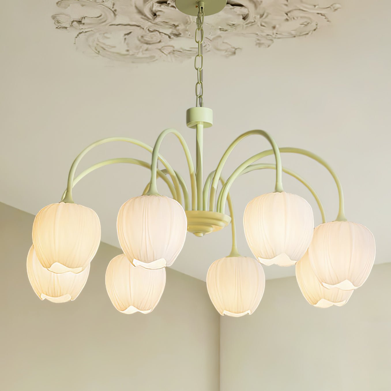 Tulip Matcha Pendant light Chandelier