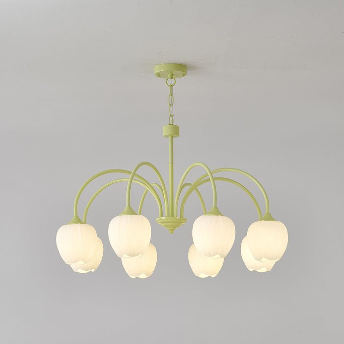 Tulip Matcha Pendant light Chandelier