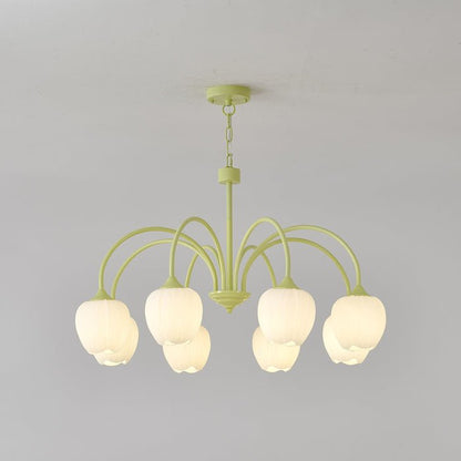 Tulip Matcha Pendant light Chandelier