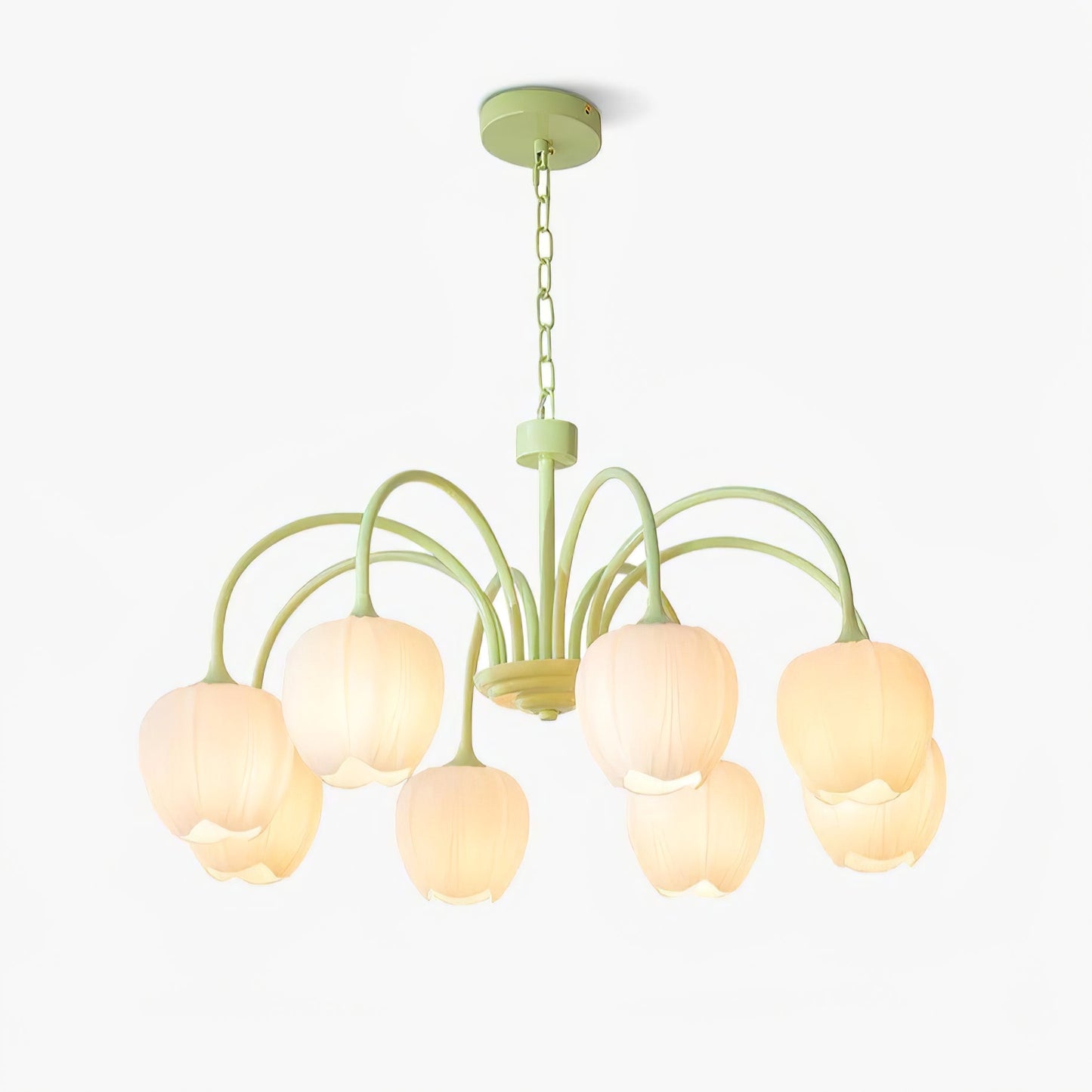 Tulip Matcha Pendant light Chandelier