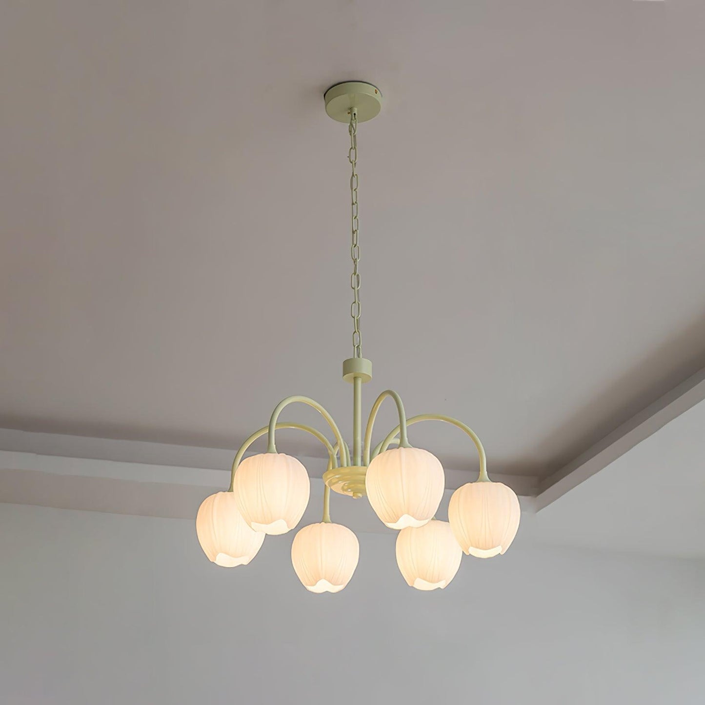 Tulip Matcha Pendant light Chandelier