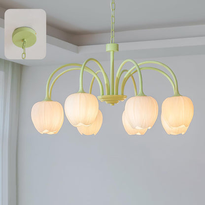 Tulip Matcha Pendant light Chandelier