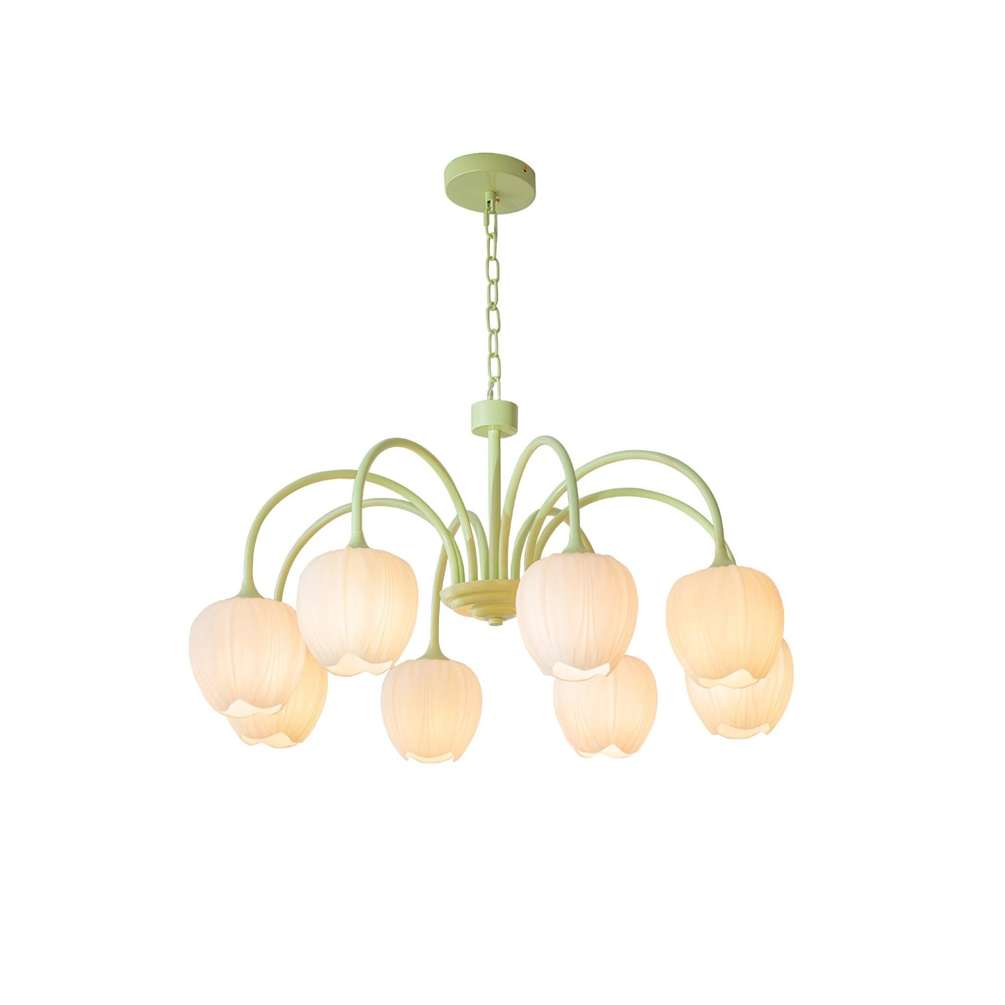 Tulip Matcha Pendant light Chandelier