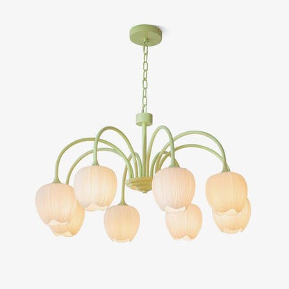 Tulip Matcha Pendant light Chandelier