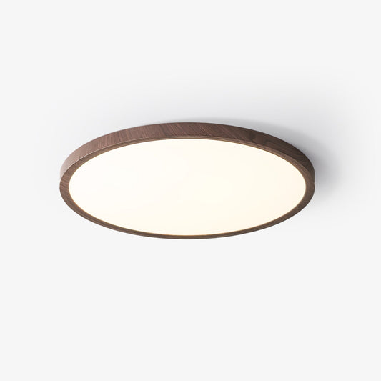 Ultrathin Round Overhead light Ceiling Light