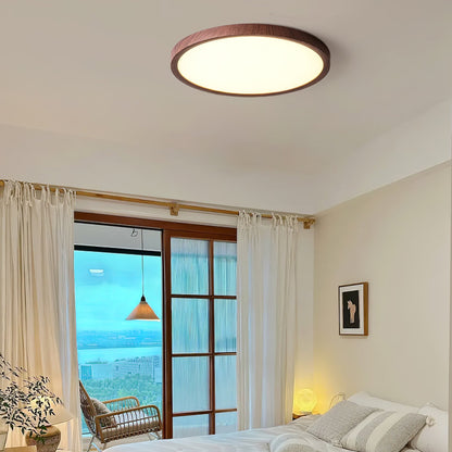 Ultrathin Round Overhead light Ceiling Light