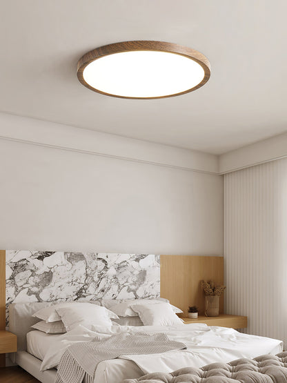 Ultrathin Round Overhead light Ceiling Light