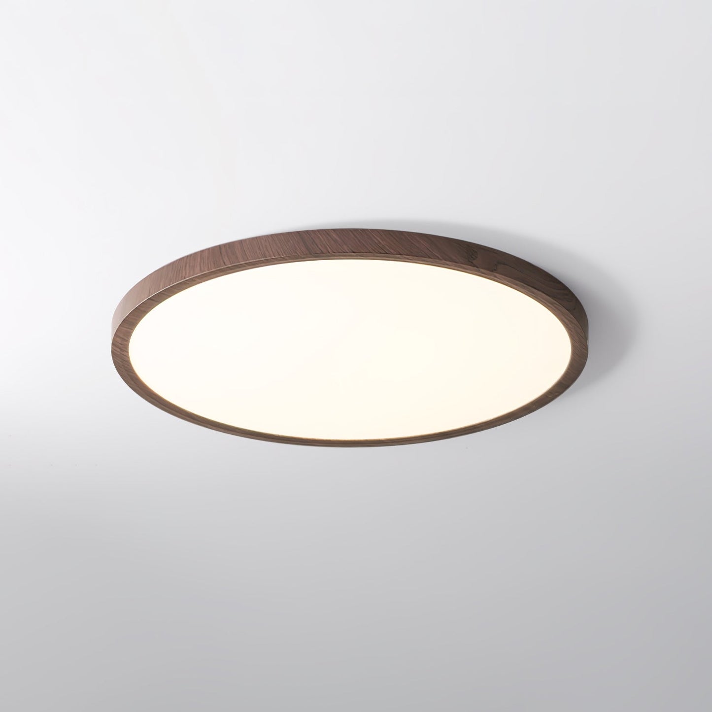 Ultrathin Round Overhead light Ceiling Light