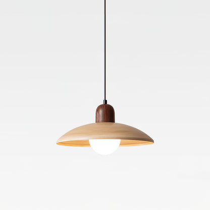 Valencia Ceiling light fitting Pendant Light