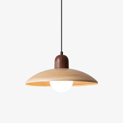 Valencia Ceiling light fitting Pendant Light