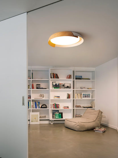 Vikaey Overhead fixture Ceiling Light