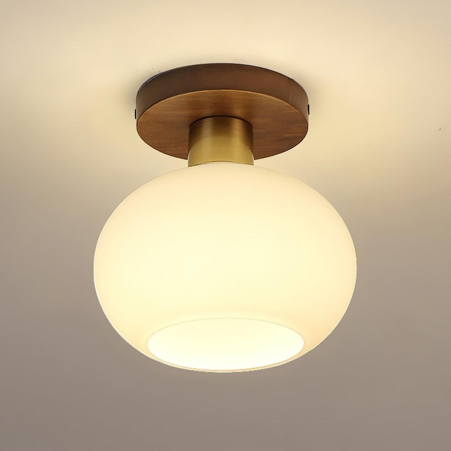 White Shell Ceiling-mounted light Ceiling Lamp